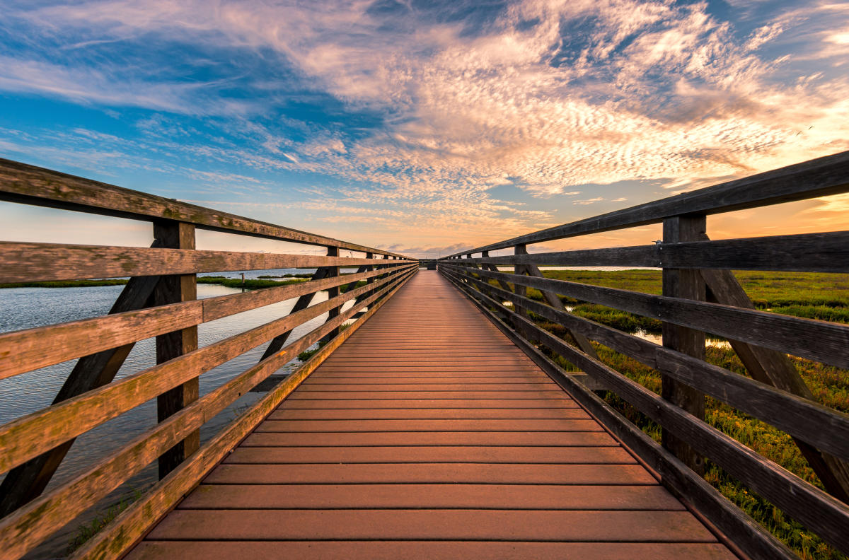 Bolsa Chica Ecological Reserve